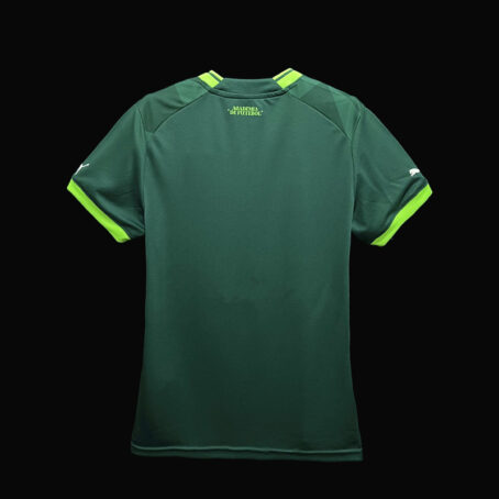 Camisa Palmeiras - Verde 23/24 - Imagem 2
