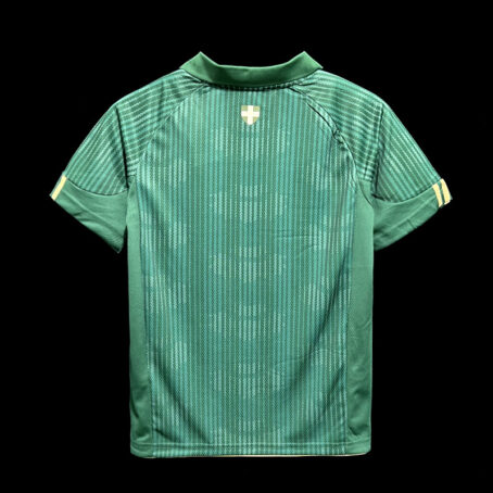 Camisa Palmeiras - Edição Especial Verde 23/24 - Imagem 2
