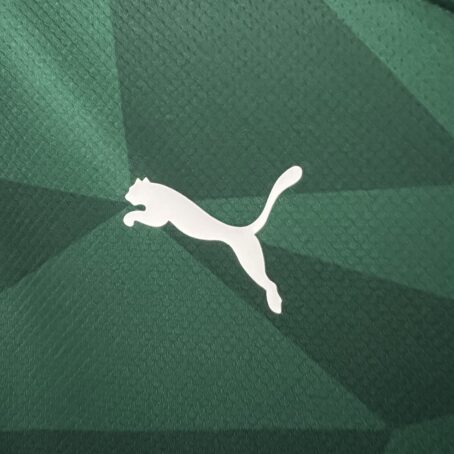Camisa Palmeiras - Verde 22/23 - Imagem 11