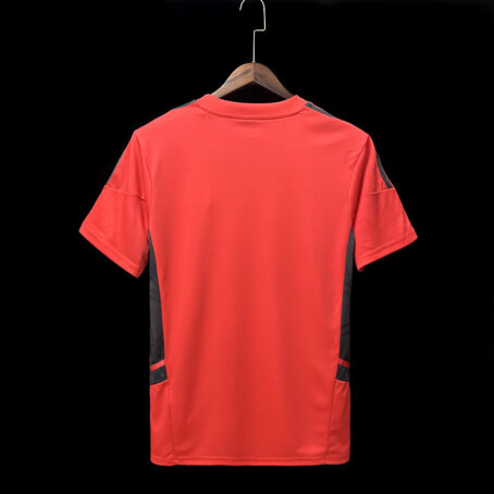 Camisa Internacional - Pré Jogo Vermelha 23/24 - Imagem 3