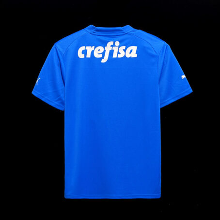 Camisa Palmeiras - Azul Goleiro 23/24 - Imagem 3
