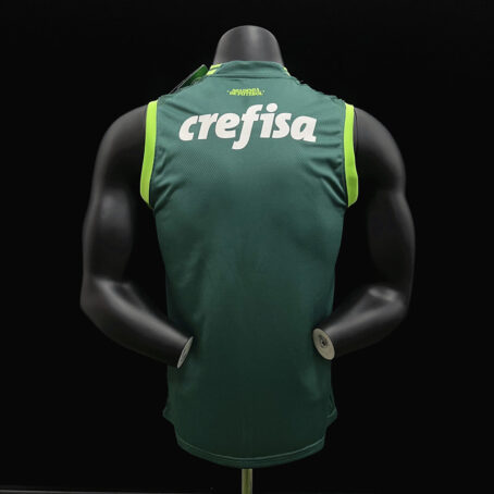 Camisa Palmeiras - Regata Verde 23/24 - Imagem 3