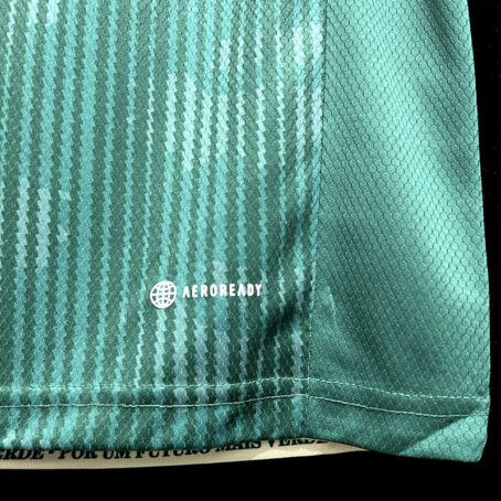 Camisa Palmeiras - Edição Especial Verde 23/24 - Imagem 4