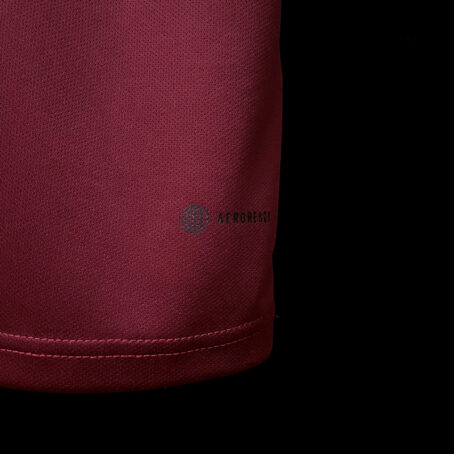 Camisa Bayern de Munique - Vinho Edição Especial 22/23 - Imagem 4