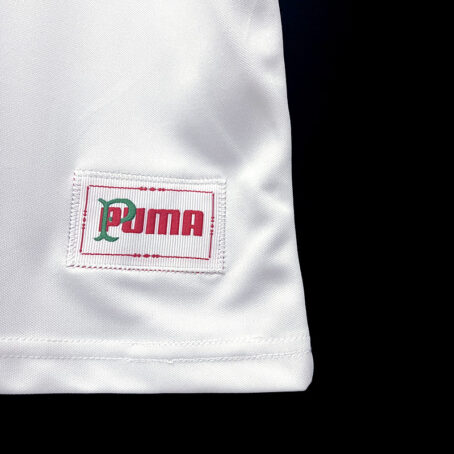 Camisa Palmeiras - Branca Edição Especial - Imagem 4