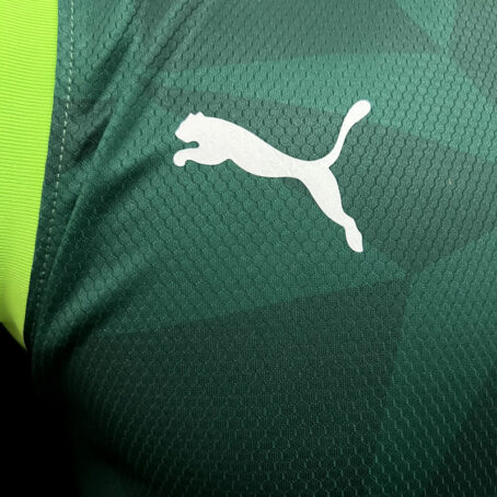 Camisa Palmeiras - Regata Verde 23/24 - Imagem 5