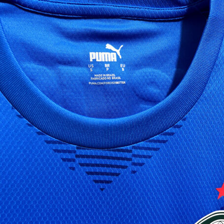 Camisa Palmeiras - Azul Goleiro 23/24 - Imagem 6