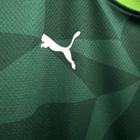 Camisa Palmeiras - Verde 23/24 - Imagem 6