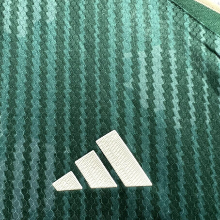 Camisa Palmeiras - Edição Especial Verde 23/24 - Imagem 6