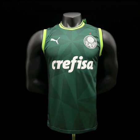 Camisa Palmeiras - Regata Verde 23/24