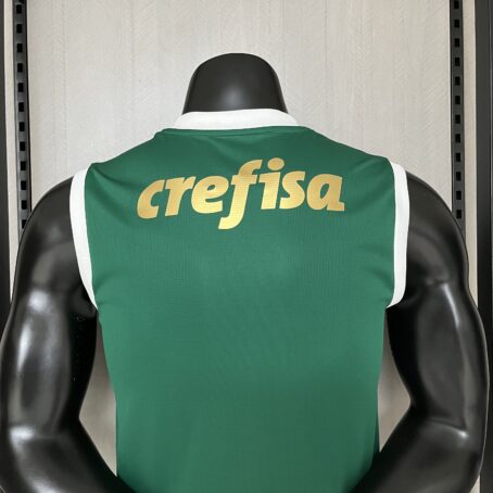 Camisa Palmeiras - Regata Verde - 24/25 - Imagem 8