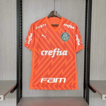 Camisa Palmeiras Goleiro - Patrocínio - Laranja - 24/25