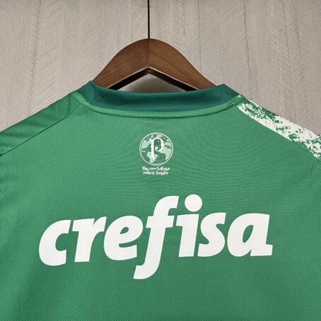 Camisa Palmeiras Edição Especial - Verde - 24/25 - Imagem 11