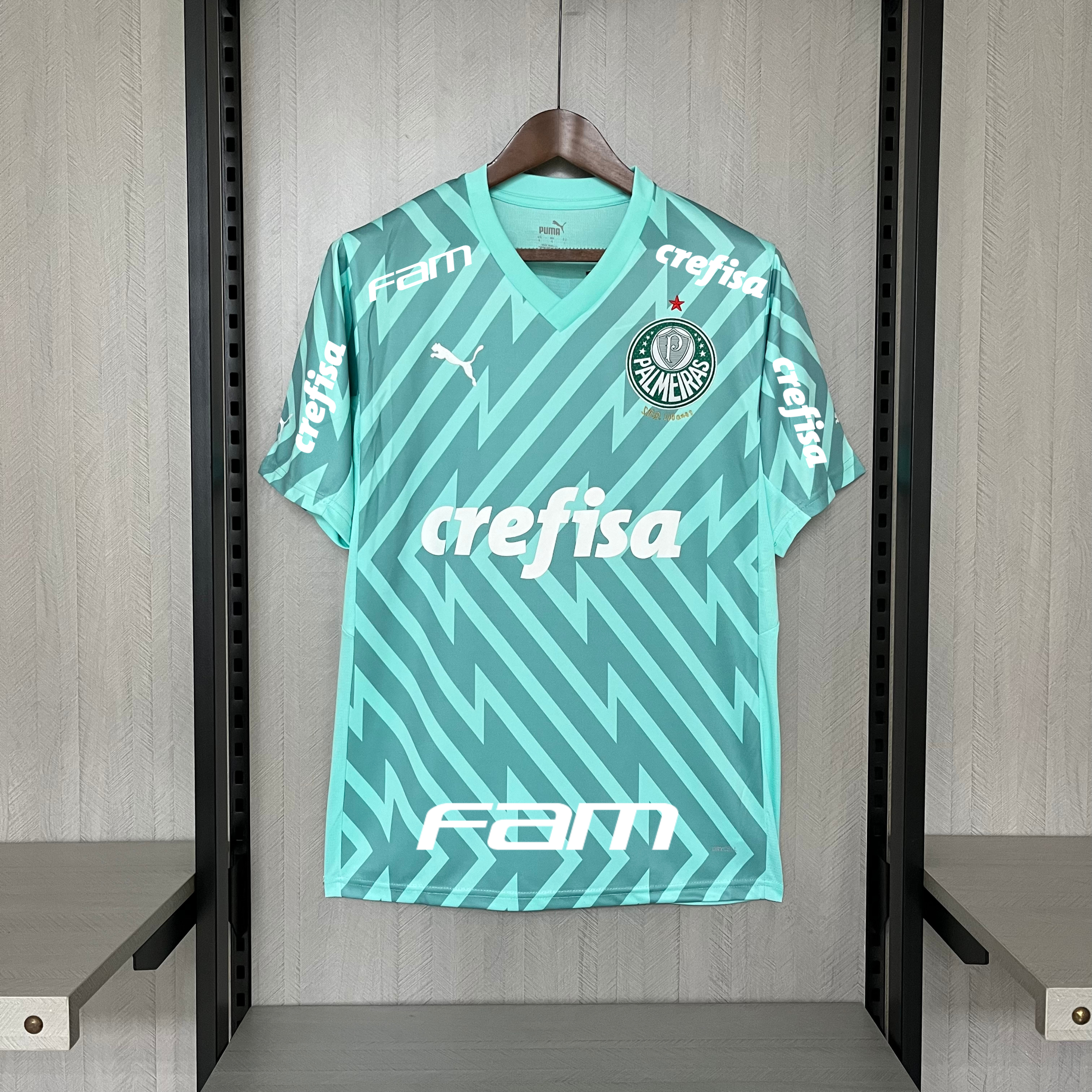 Camisa Palmeiras Goleiro – Patrocínio – Verde Claro – 24/25