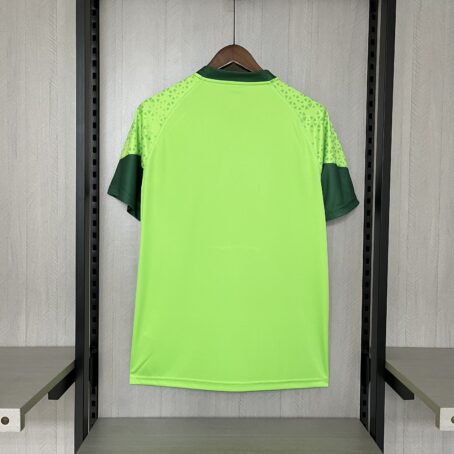 Camisa Palmeiras Treino - Verde - 24/25 - Imagem 9