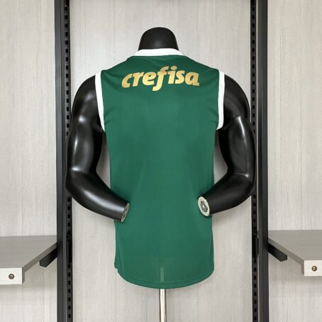 Camisa Palmeiras - Regata Verde - 24/25 - Imagem 7