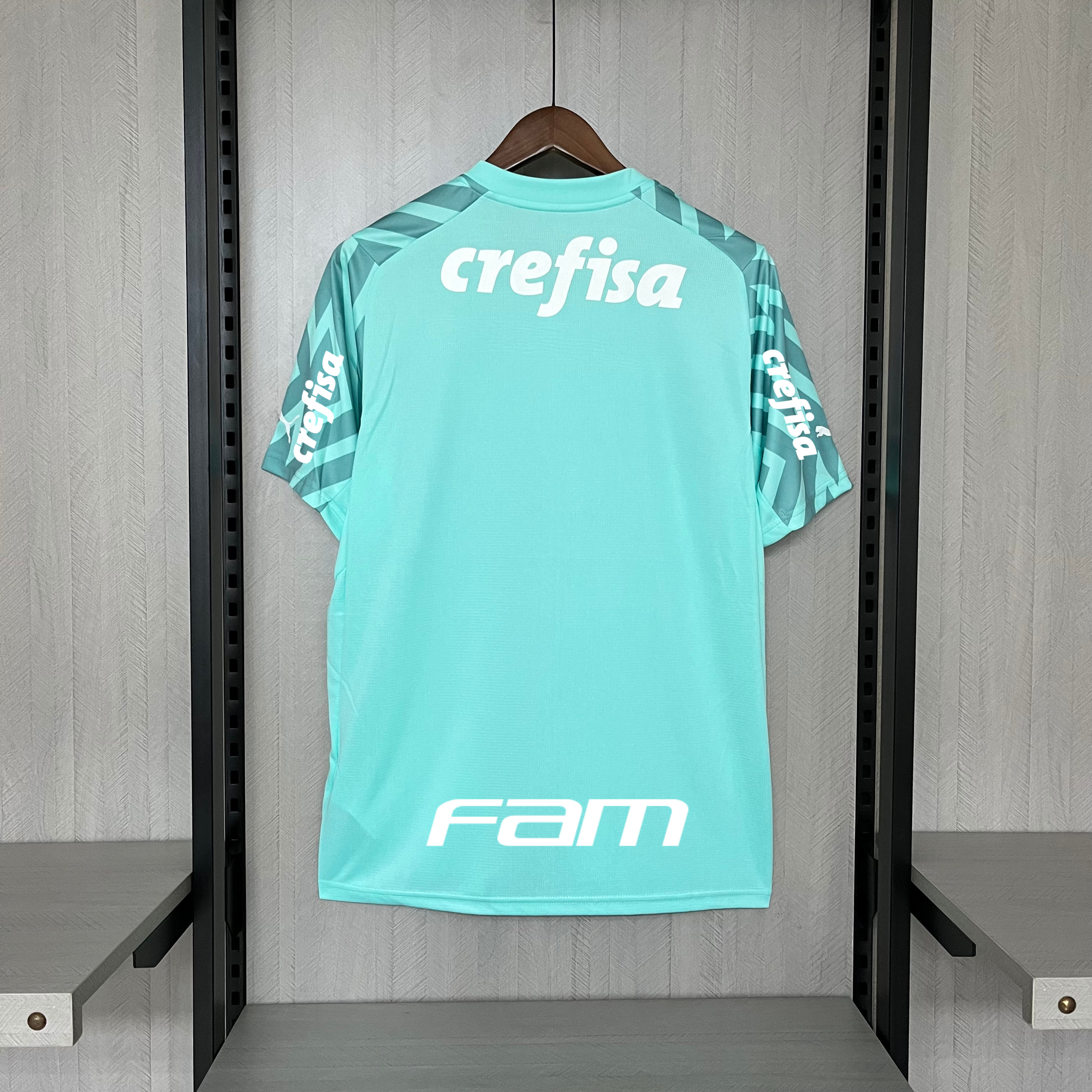 Camisa Palmeiras Goleiro – Patrocínio – Verde Claro – 24/25