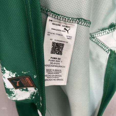 Camisa Palmeiras Edição Especial - Verde - 24/25 - Imagem 9