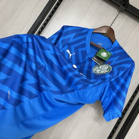 Camisa Palmeiras Goleiro - Azul - 24/25 - Imagem 9