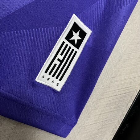 Camisa Botafogo Goleiro  – Roxa – 24/25 - Imagem 8