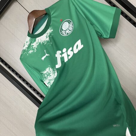 Camisa Palmeiras Edição Especial - Verde - 24/25 - Imagem 8