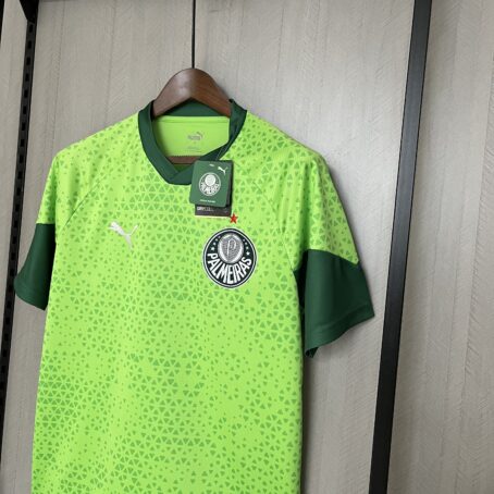 Camisa Palmeiras Treino - Verde - 24/25 - Imagem 5