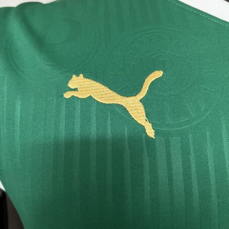 Camisa Palmeiras - Regata Verde - 24/25 - Imagem 4