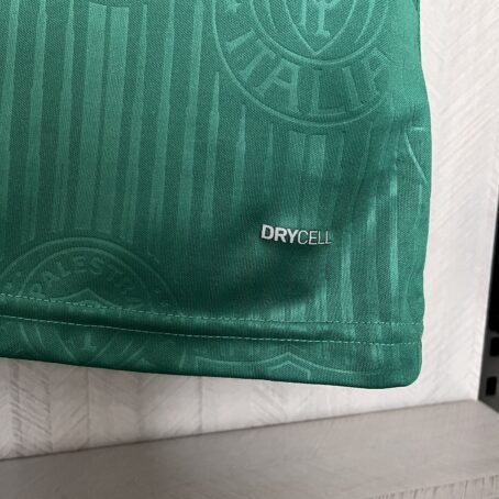 Camisa Palmeiras - Verde - 24/25 - Imagem 8