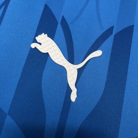 Camisa Palmeiras - Azul Pré Jogo - 24/25 - Imagem 4