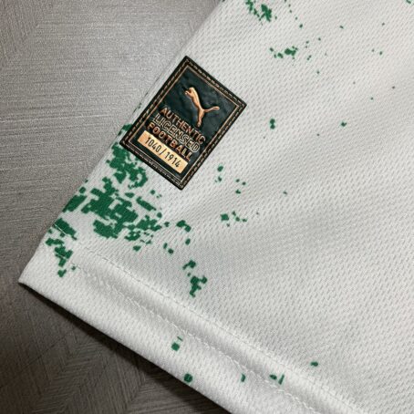 Camisa Palmeiras Edição Especial - 24/25 - Imagem 6