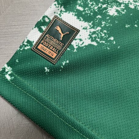 Camisa Palmeiras Edição Especial - Verde - 24/25 - Imagem 6