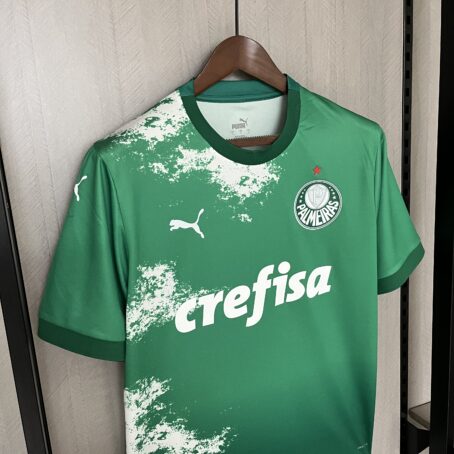 Camisa Palmeiras Edição Especial - Verde - 24/25 - Imagem 5