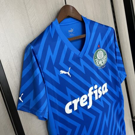 Camisa Palmeiras Goleiro - Azul - 24/25 - Imagem 5