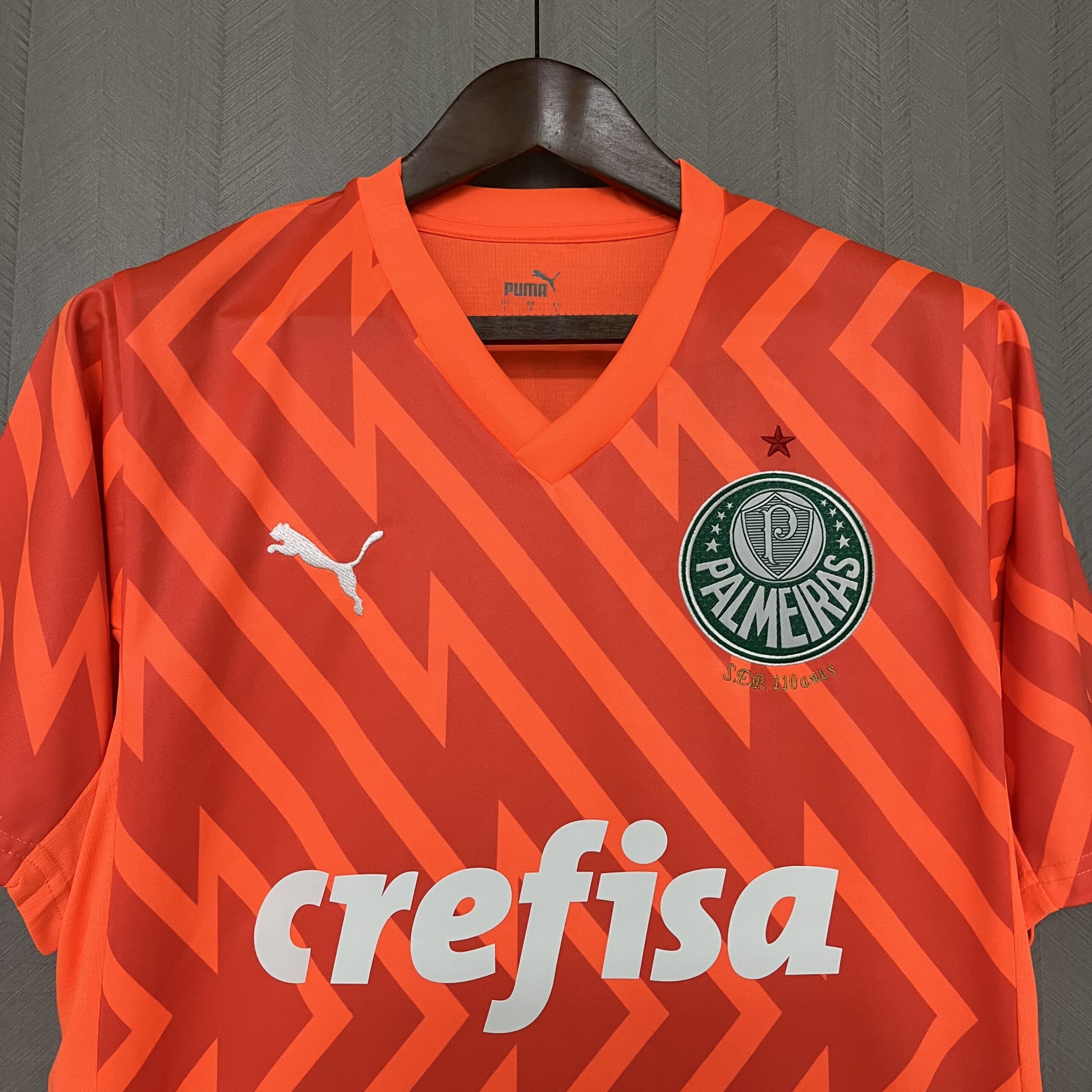 Camisa Palmeiras Goleiro – Laranja – 24/25