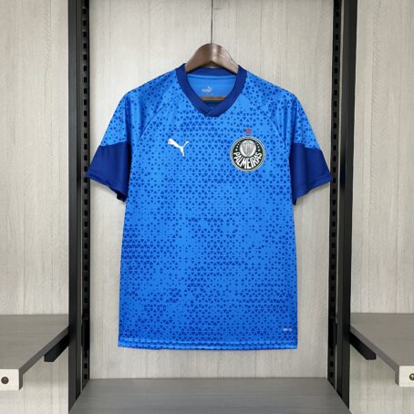 Camisa Palmeiras Treino - Azul - 24/25
