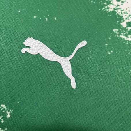 Camisa Palmeiras Edição Especial - Verde - 24/25 - Imagem 4