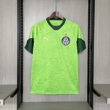 Camisa Palmeiras Treino - Verde - 24/25