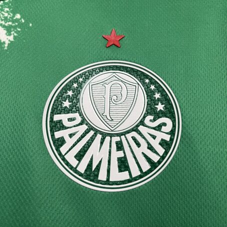 Camisa Palmeiras Edição Especial - Verde - 24/25 - Imagem 3