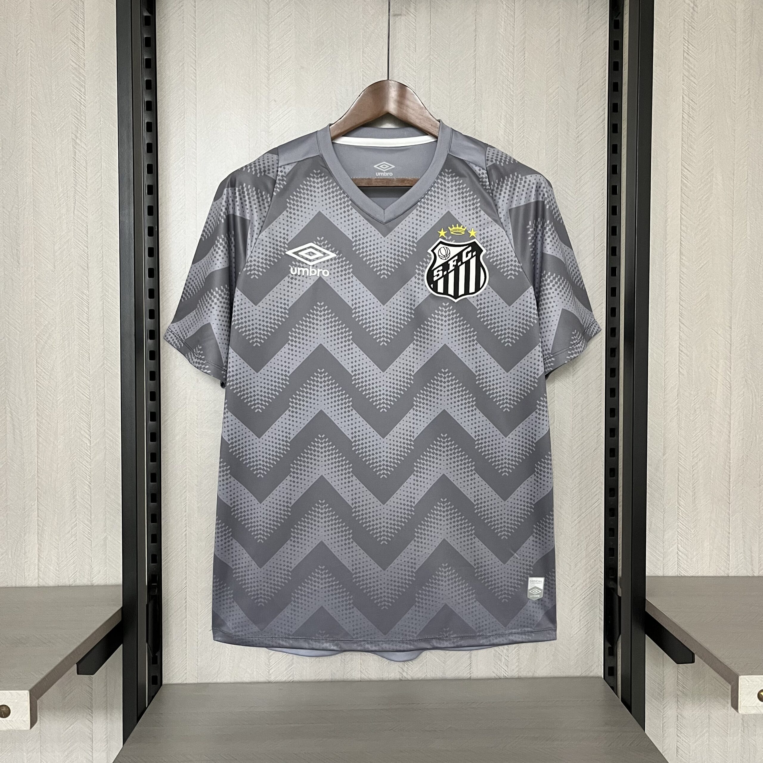 Camisa Santos Goleiro – Cinza – 24/25