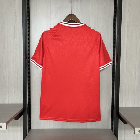 Camisa Dinamarca - Vermelha - 24/25 - Imagem 10