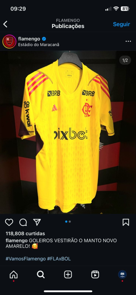 Camisa Flamengo Goleiro - Patrocínio - Amarela - 24/25 - Imagem 3