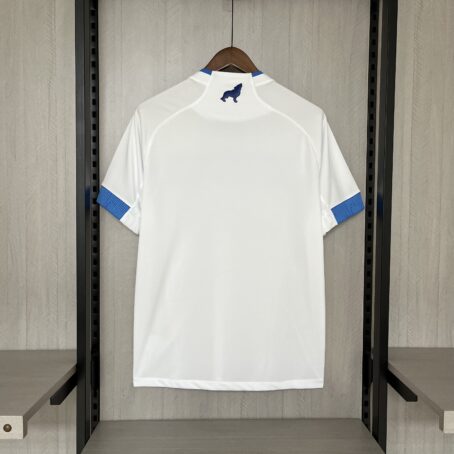 Camisa Paysandu – Branca – 24/25 - Imagem 11