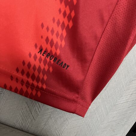 Camisa Bayern de Munique - Vermelha -  24/25 - Imagem 6