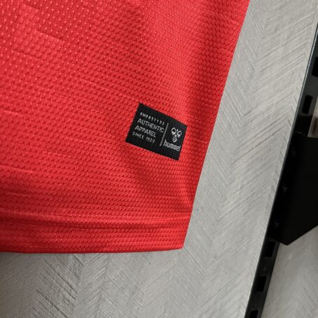 Camisa Dinamarca - Vermelha - 24/25 - Imagem 6