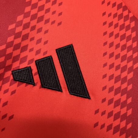 Camisa Bayern de Munique - Vermelha -  24/25 - Imagem 4