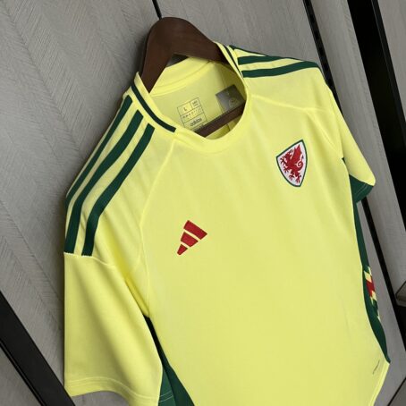 Camisa País de Gales - Amarela - 24/25 - Imagem 4