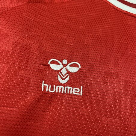 Camisa Dinamarca - Vermelha - 24/25 - Imagem 4