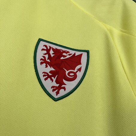Camisa País de Gales - Amarela - 24/25 - Imagem 3