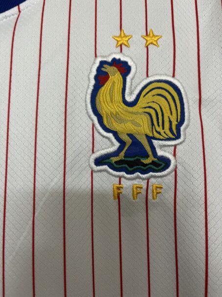 Camisa França - Infantil - Branca - 24/25 - Imagem 3