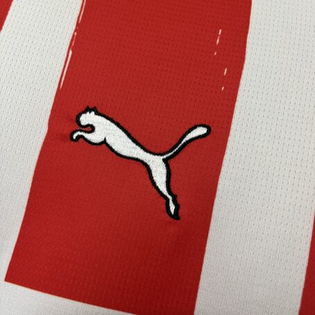 Camisa PSV - Vermelha/Branca - 24/25 - Imagem 4
